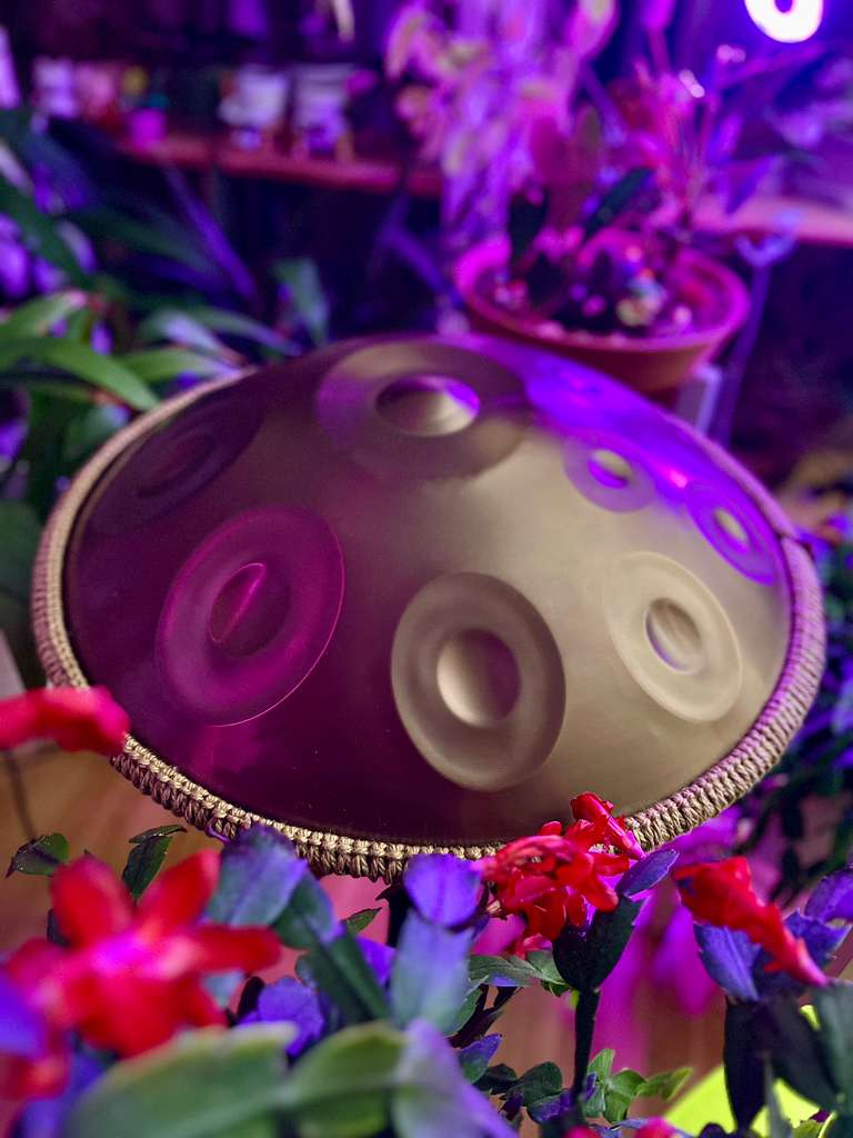 432Hz D Kurd Minor 12 Note Gold Color Handpan  with Case