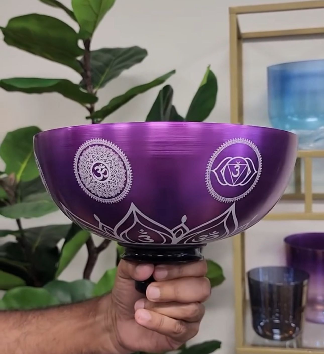 3rd Octave Titanium 7 Chakra Set Singing Bowls with Strikers Holders O-rings for Sound Healing Meditation Yoga