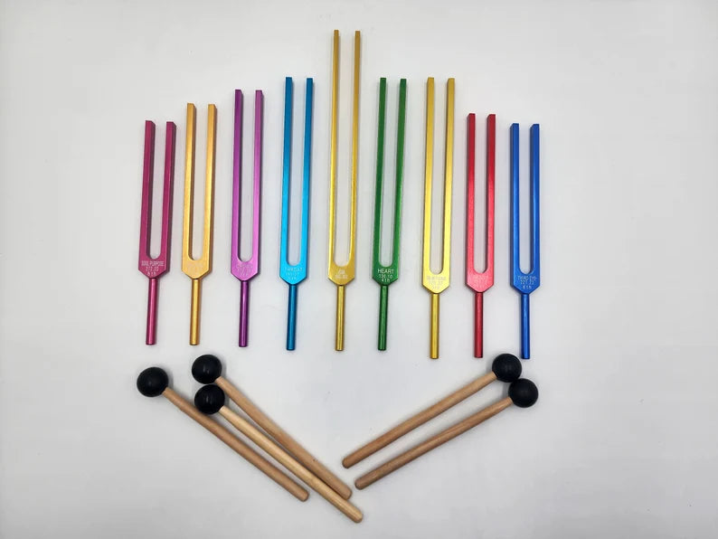Professional Chakra Unweighted Color Coded Tuning Forks Set of 9 with Individual Chakra Sign Bags Includes Earth Star and Soul Purpose