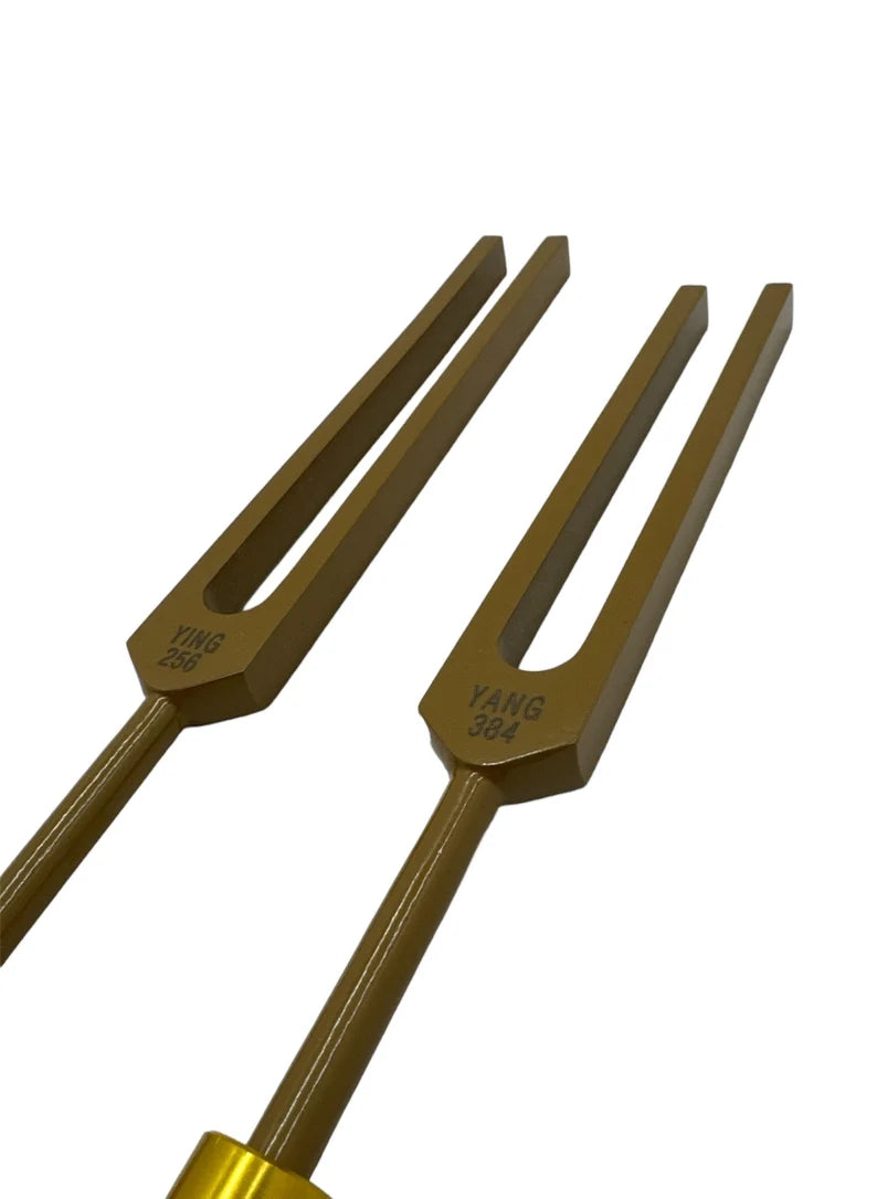 Unweighted Brown Color Ying Yang Tuning Fork Set for Healing C 256Hz and G 384Hz with Removable Buddha Beads Feet, Striker, and Storage Bag