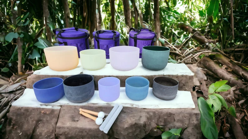 Gem Fused Set of 9 Chakra Quartz Crystal Singing Bowls includes Premium Earth Star and Soul Purpose Chakra packed in 3 Padded Secured Cases