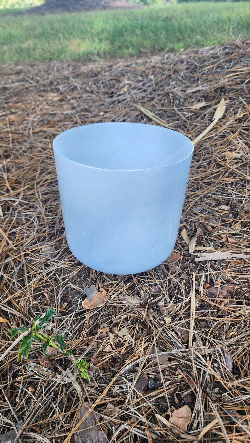 432Hz 7 Inch Chakra A Note Angel Aura Quartz Crystal Singing Bowl with Padded Secure Case, Striker, and O-ring