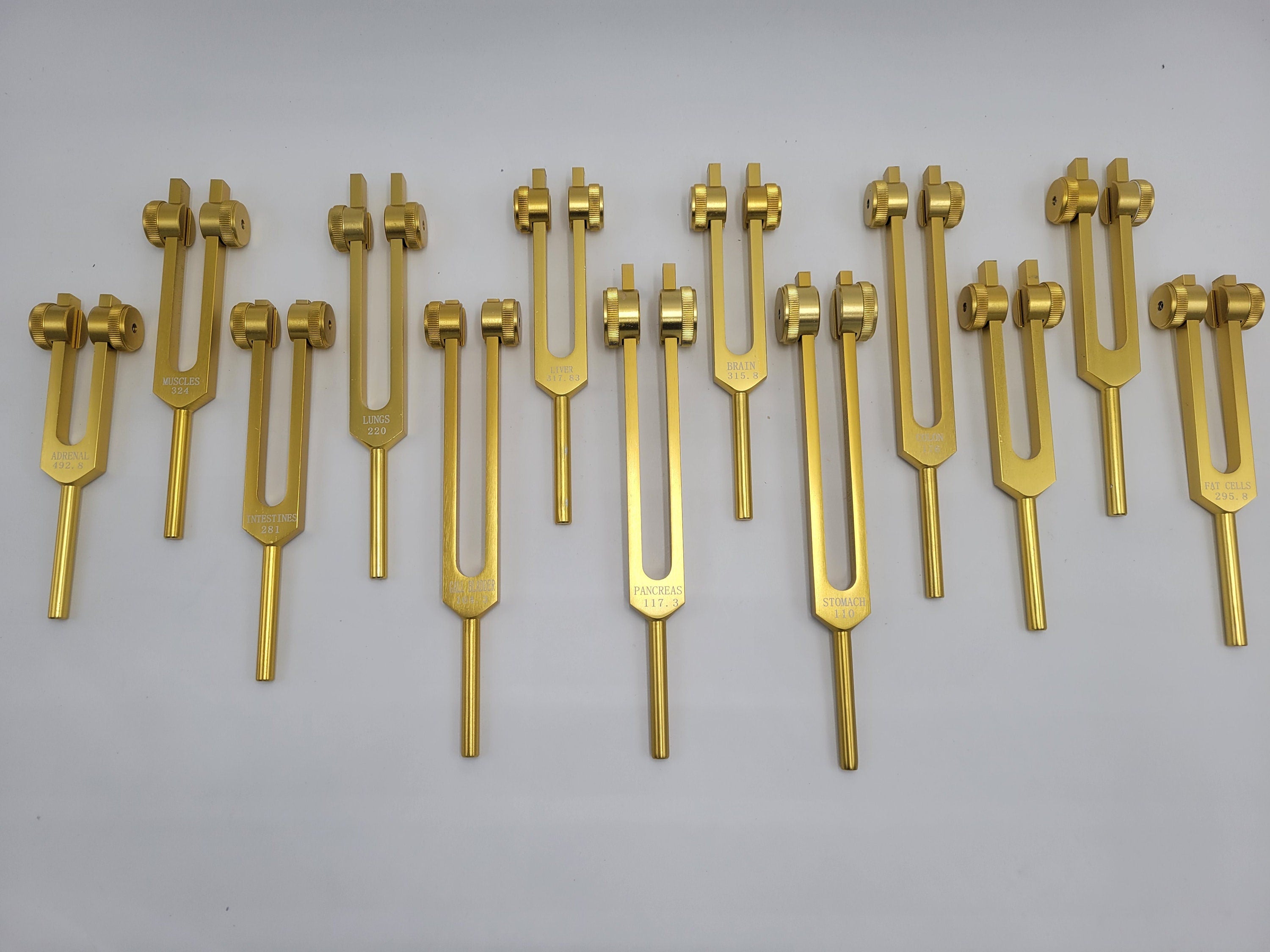 Gold Color Weighted Human Organ Set of 15 Tuning Forks with Striker Mallet and Velvet Bag - Thecosmicaccess