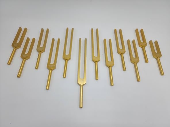 Gold Color Kabbalah Tree of Life Sephiroth 12 Set Unweighted Tuning Forks with Mallet and Velvet Bag - Thecosmicaccess